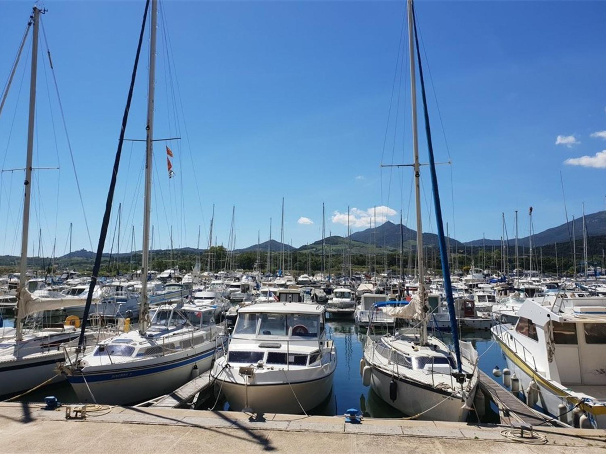 Appartement Argelès-sur-Mer, 2 pièces, 4 personnes - FR-1-388-52 Extérieur photo